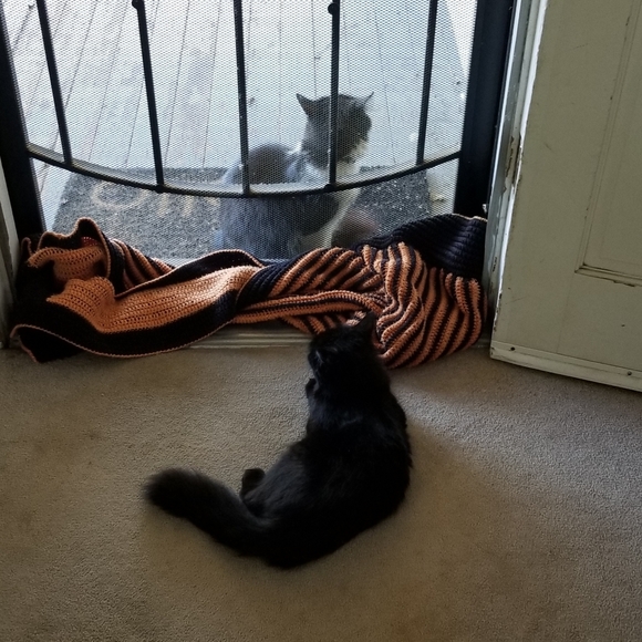 Meet your Posher, Caleb - Picture 8 of 8